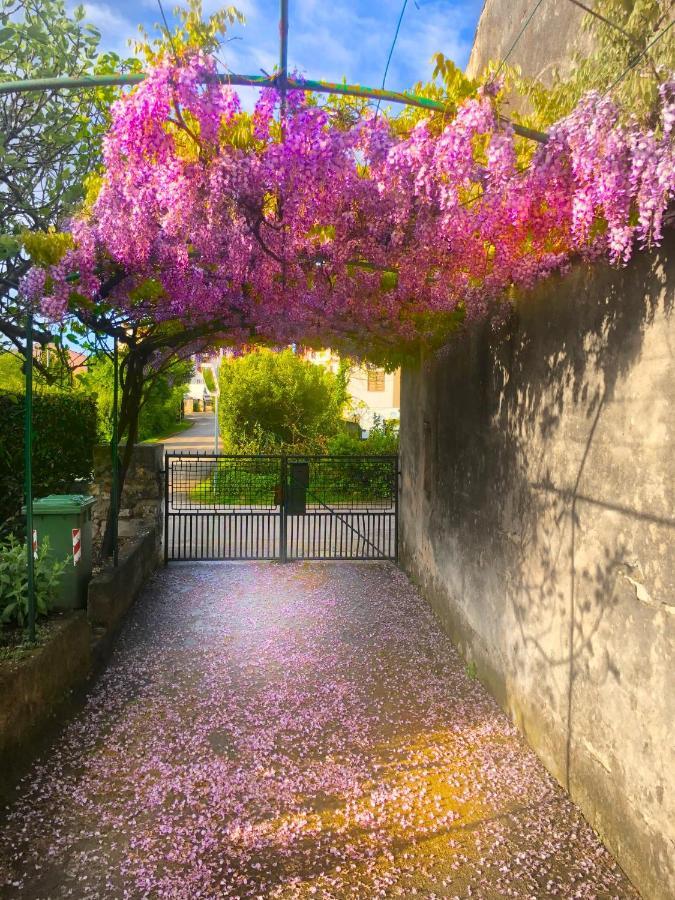 Apartmán App Milija Rovinj Exteriér fotografie