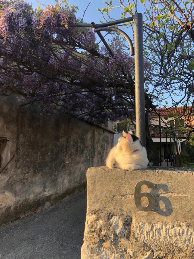Apartmán App Milija Rovinj Exteriér fotografie